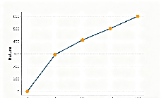 AI不是用来炫技的，而是用来赢利的——精品无码产区一区二-成人AV-免费AV网站让AI成为您的赢利东西